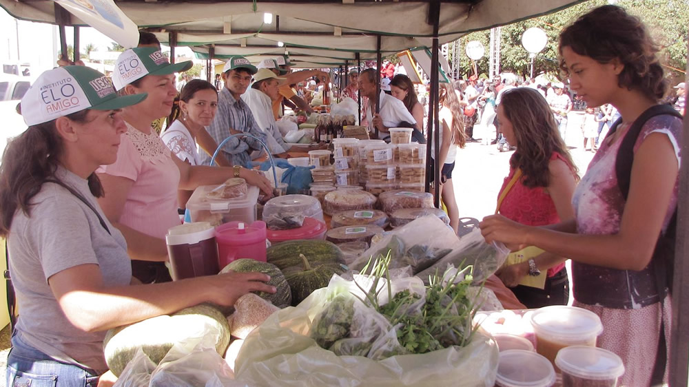 II EXPOAF: Agricultura Familiar é destaque na região Centro-sul e Vale do Salgado