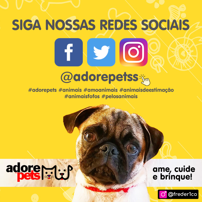 Adore Pets - Ame, cuide e brinque!